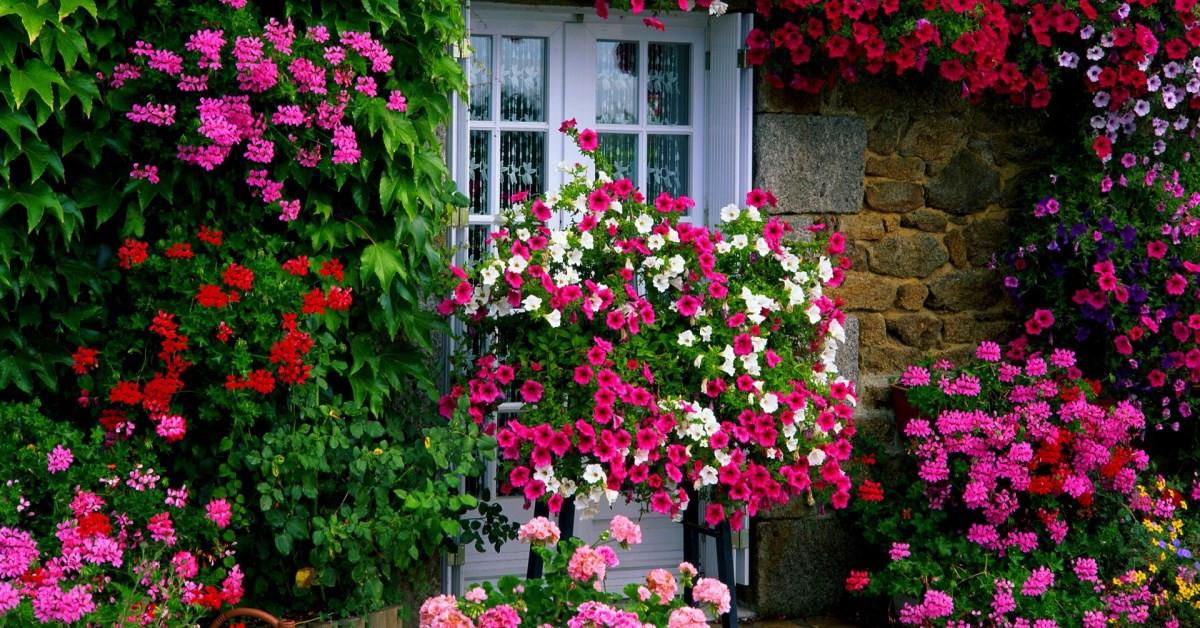 Как да осигурим на градината и цветята си всичко, от което се нуждаят?