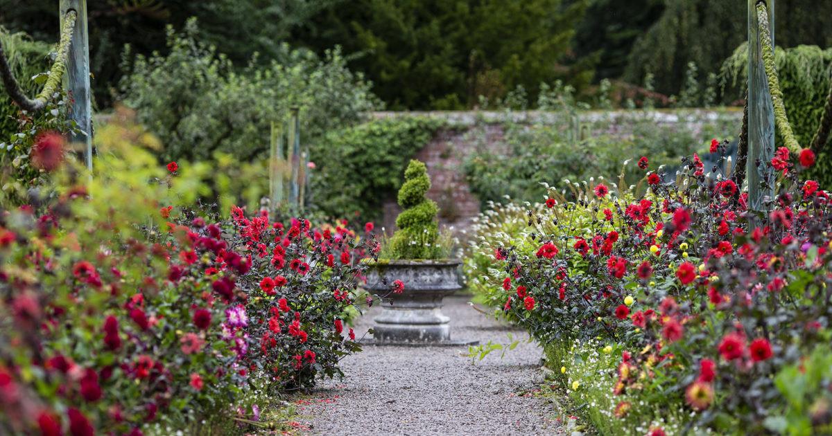 Създайте градина, която се поддържа лесно