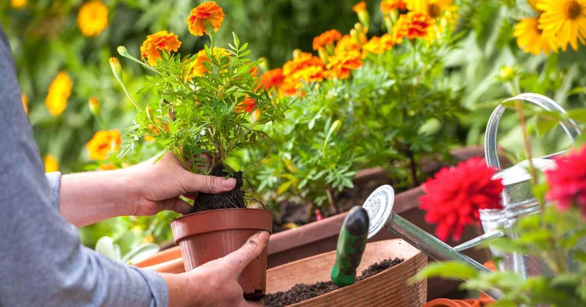 Основни тенденции за неповторима градина през 2020 година (част втора)