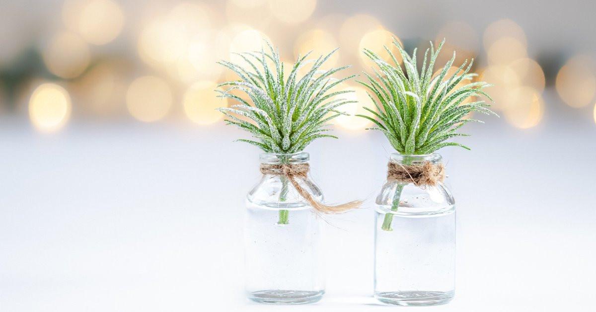 6 нестандартни вази за (не)всеки дом