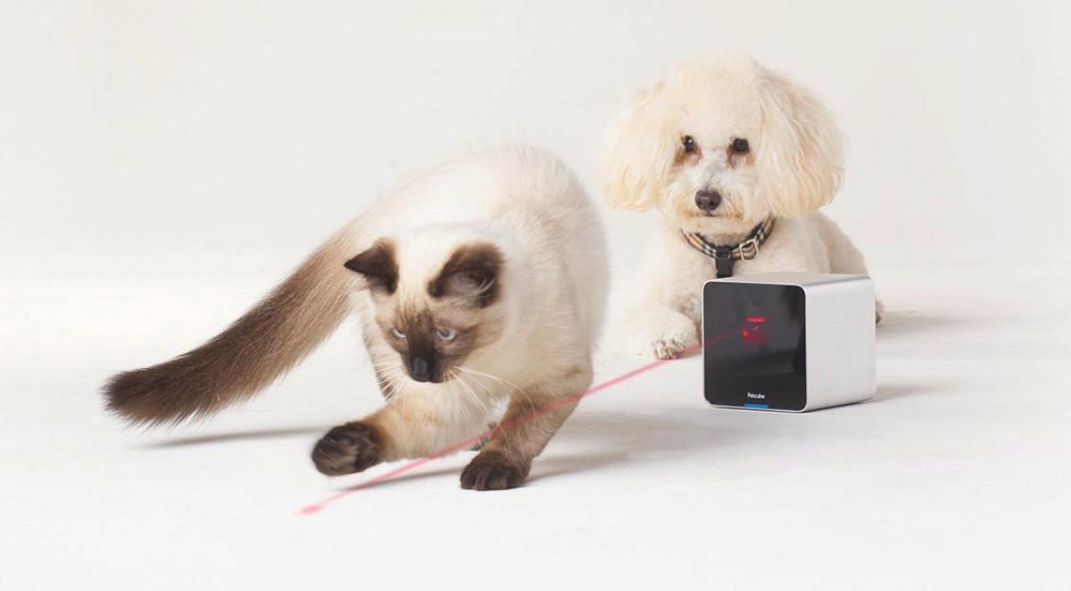 Интерактивно устройство за домашни любимци