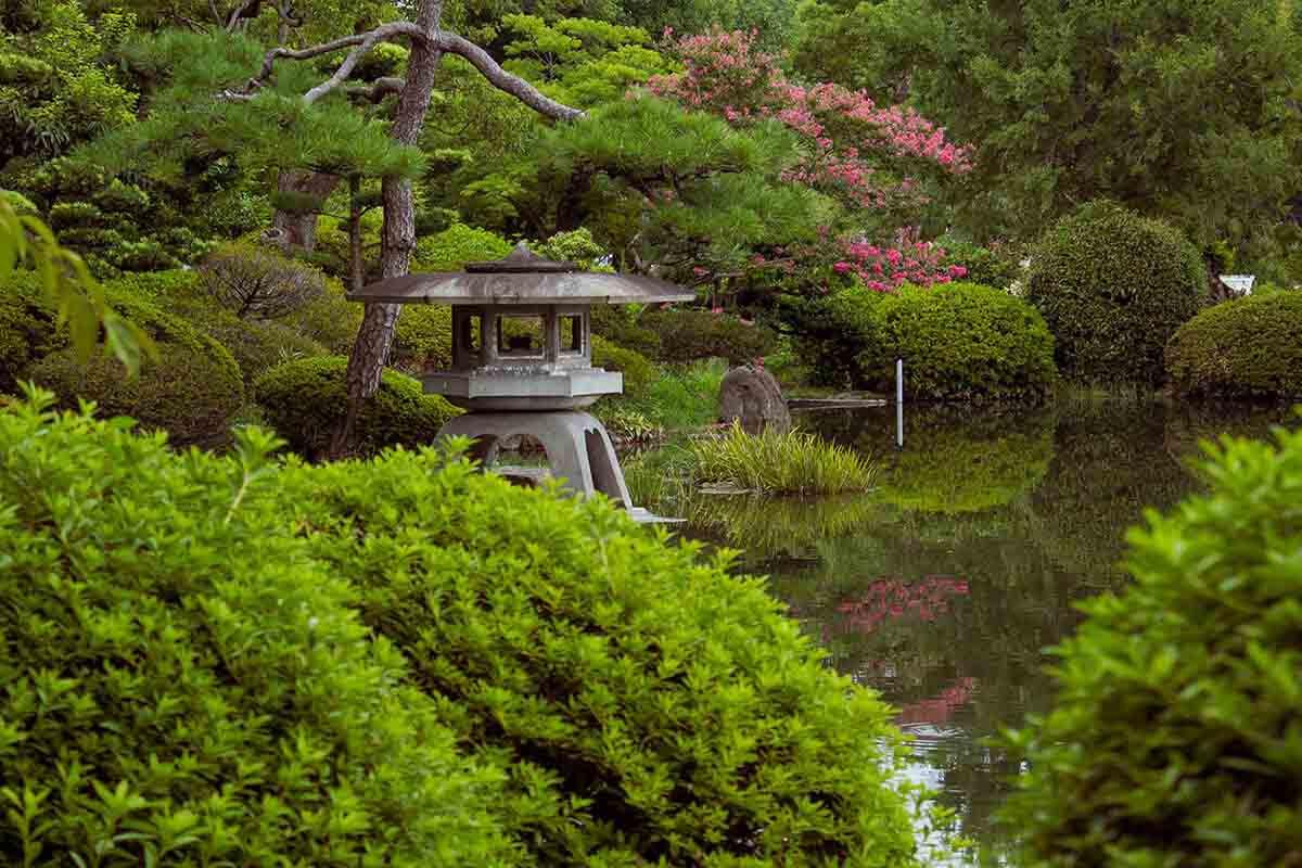 Хармония в цветовете