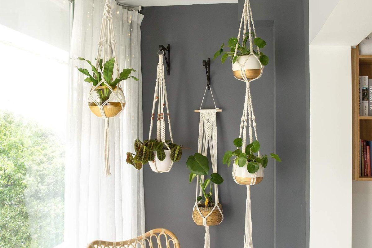 Саксии в макраме