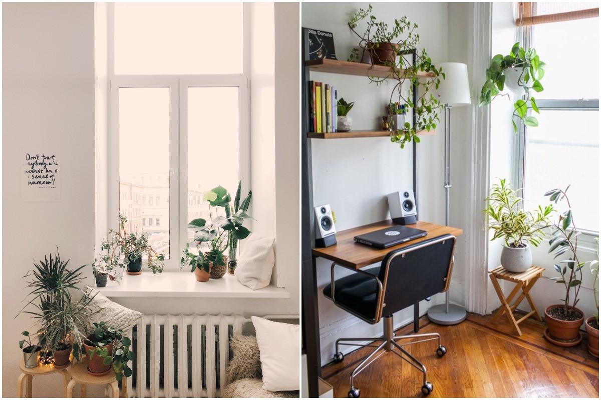 Придържайте се към постоянно ниво на осветеност