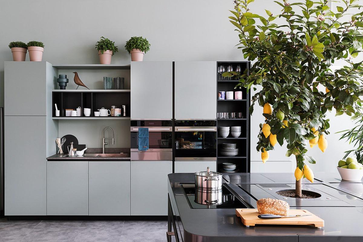 Малко стайно дърво