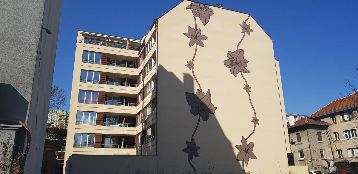 ул. Свищов с красива рисунка