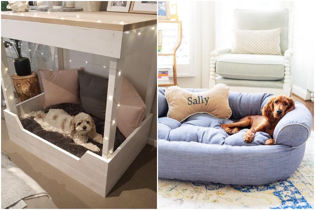 Собствени мебели за животни