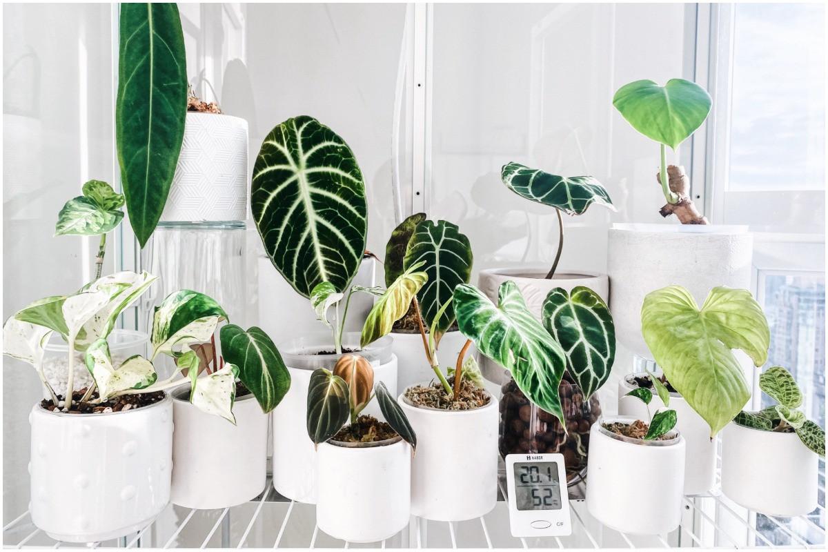 Поставете основите