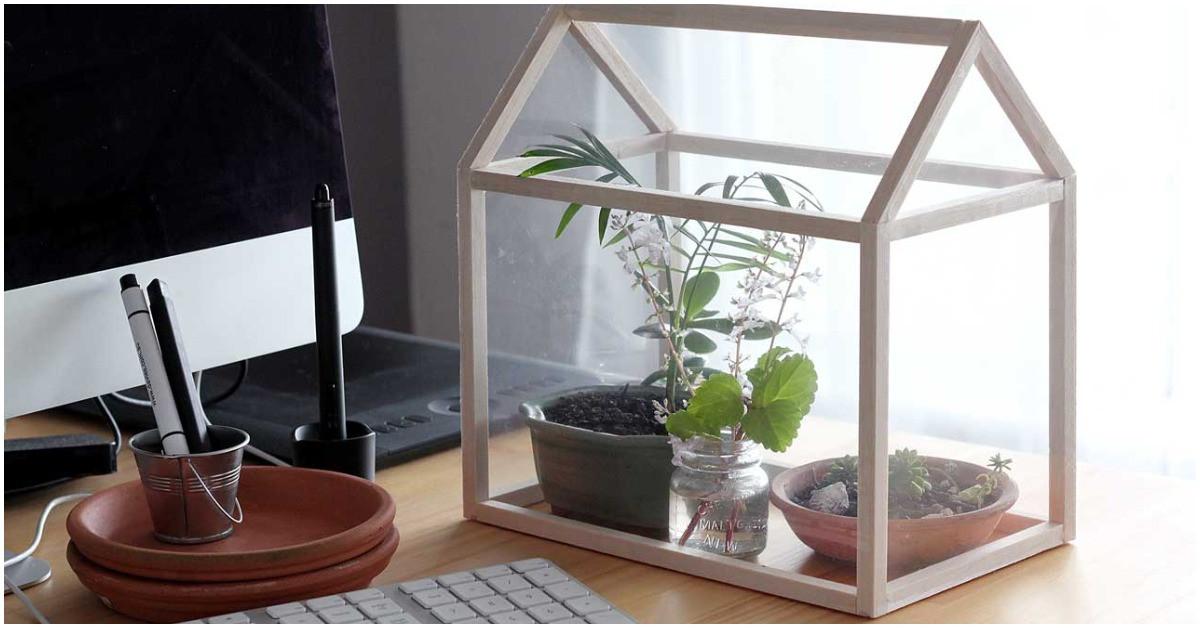 Направи си сам: Домашна малка оранжерия