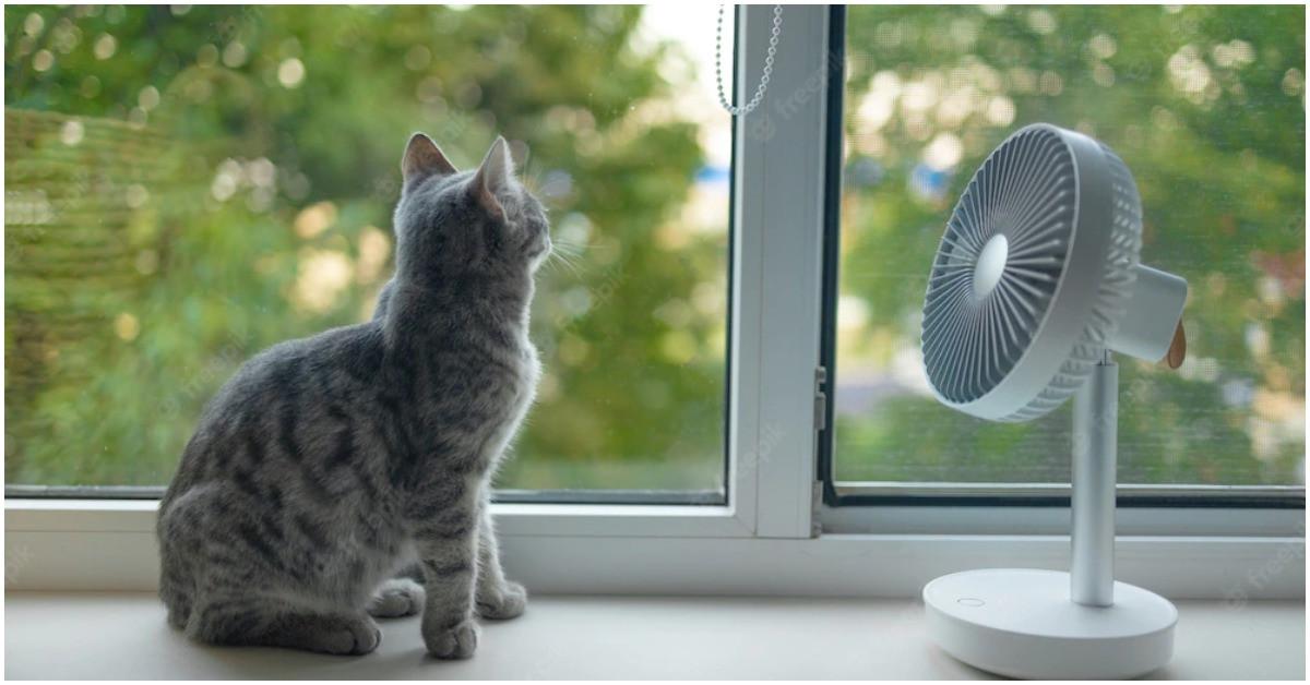 Как да се справите с горещините в апартамента?