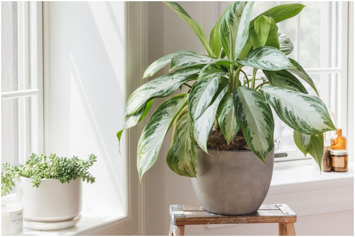 Запознайте се добре с пространството