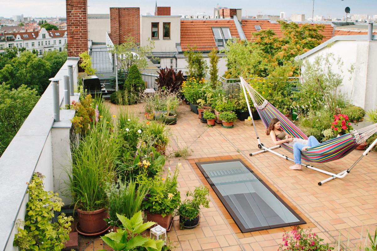Градина на покрива