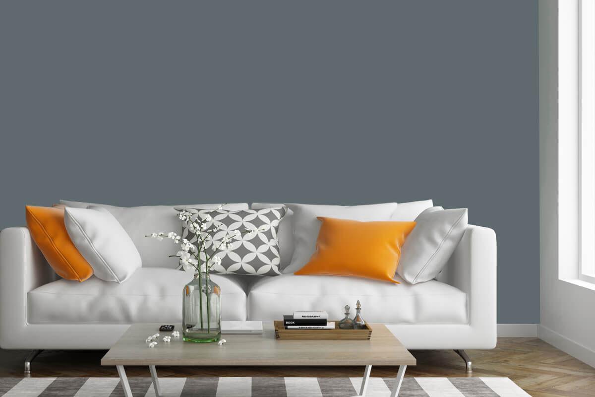 Свойства на латексовата боя