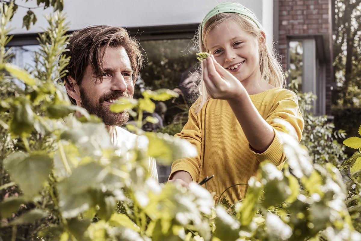 Устойчивост