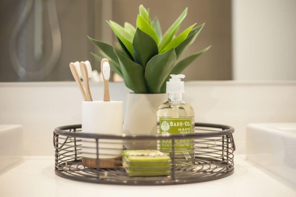 Алое или агаве