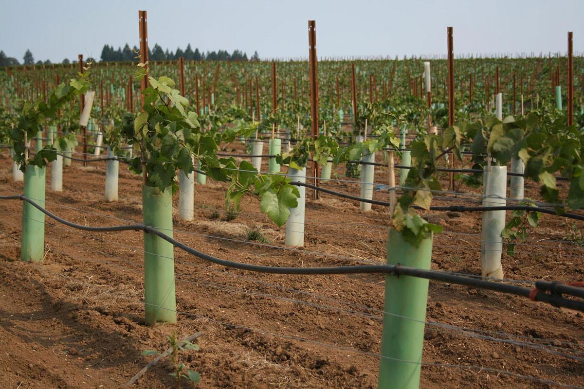 Подбор и рязане