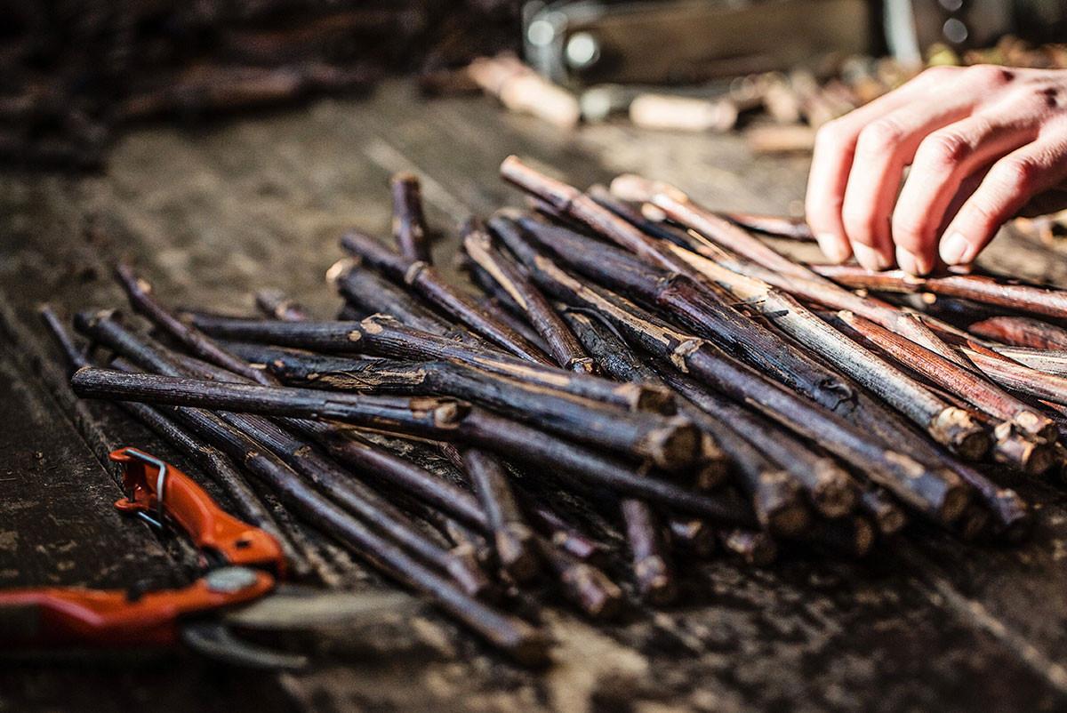 Подходящи условия