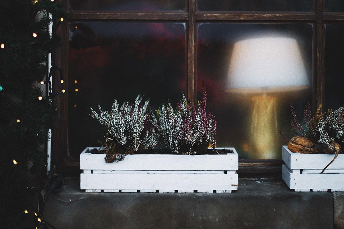 Подрязване и торене