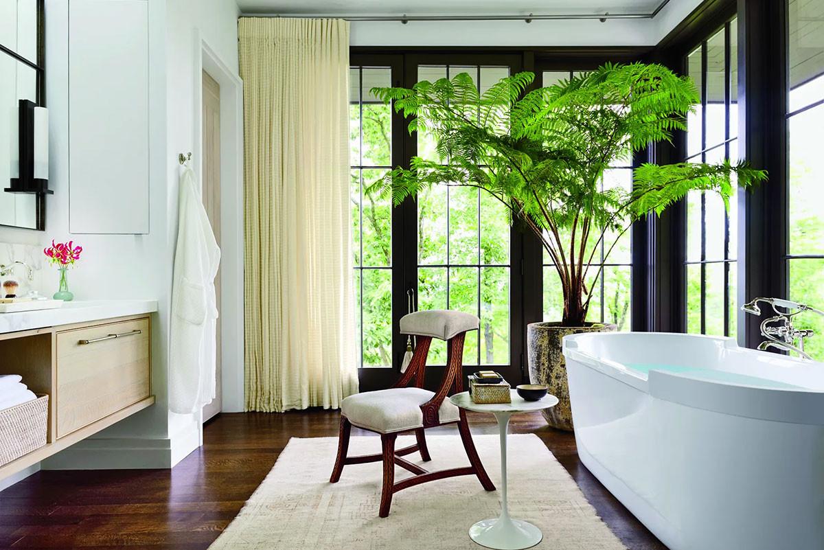 Дървовидна папрат (Cyatheales)