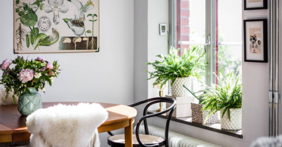 Уютен интериор с помощта на растения