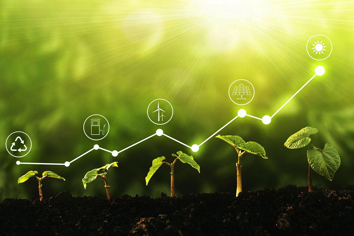 Зелената сделка