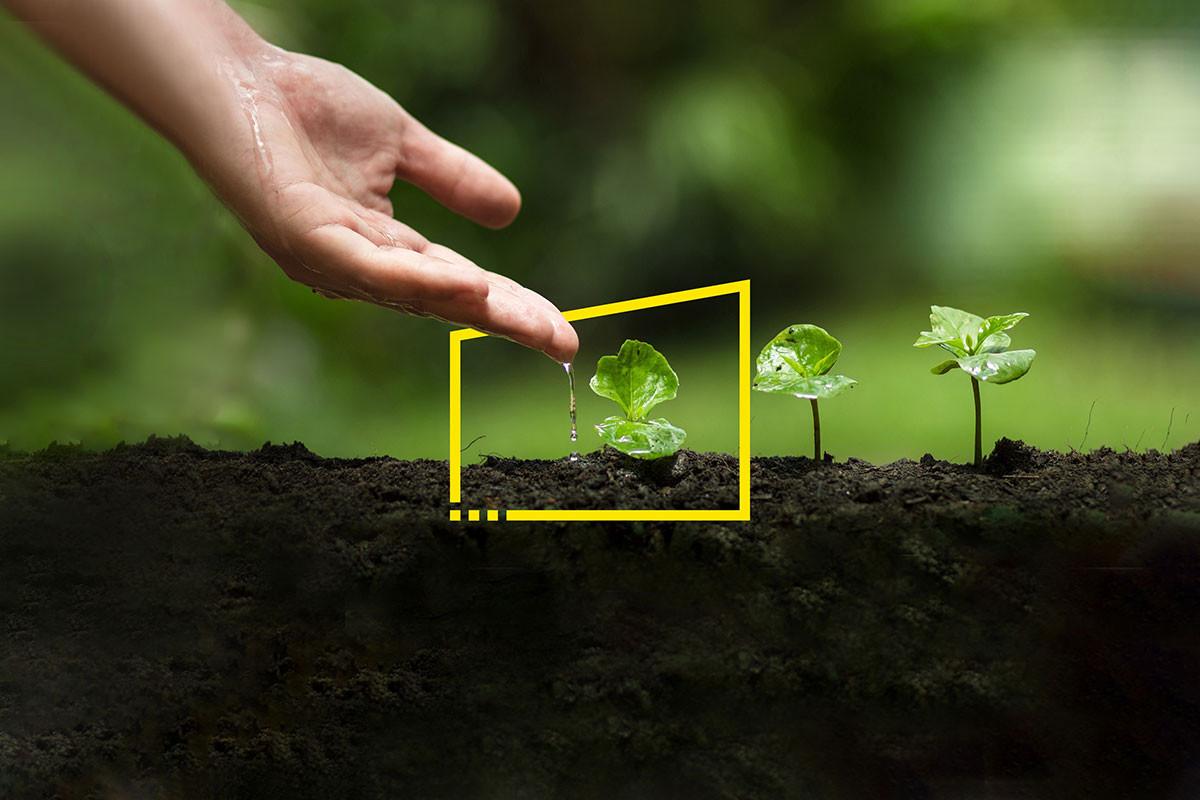 Основни решения за декарбонизация