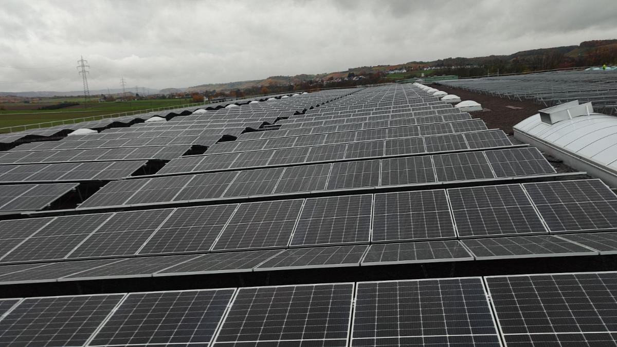 IMG-d130023333d1340ff91d9db397d499a4-V