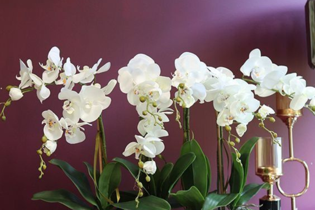 Защо е важно да изберем правилните растения?