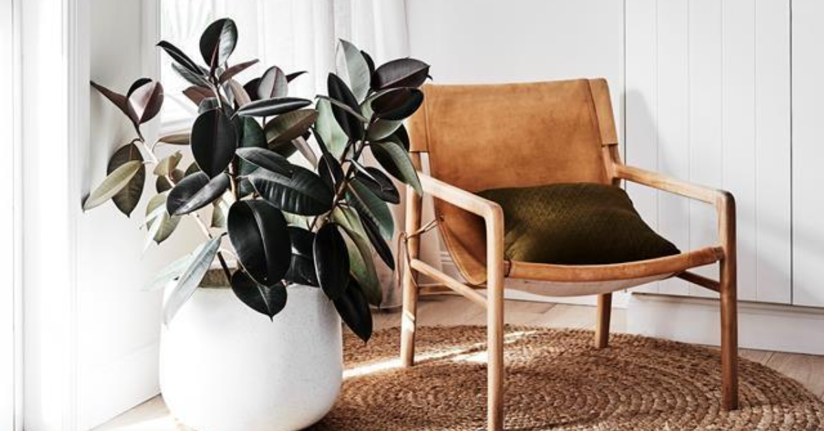 Как да изберем правилните цветя за всяко помещение?