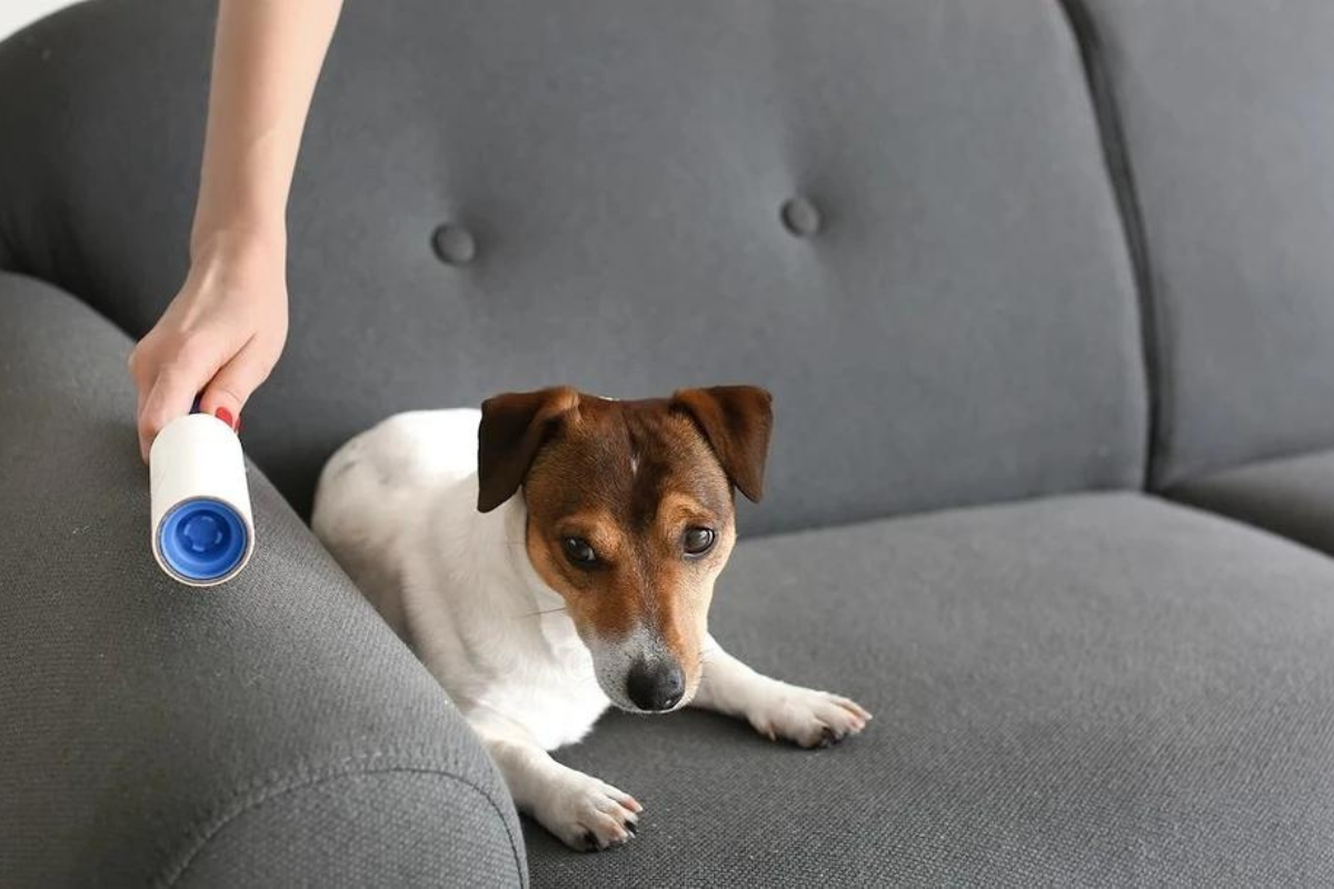 Лепкава ролка за дрехи