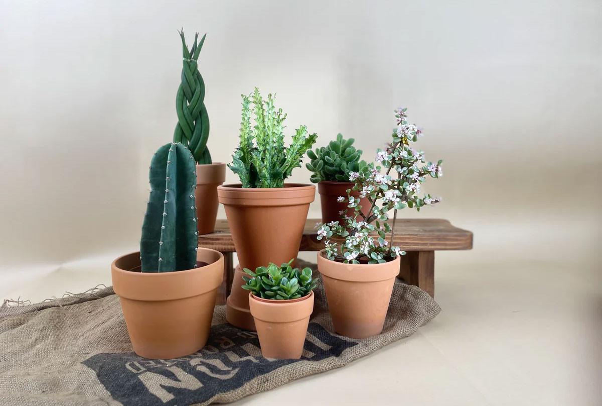 Температура, влажност и торене