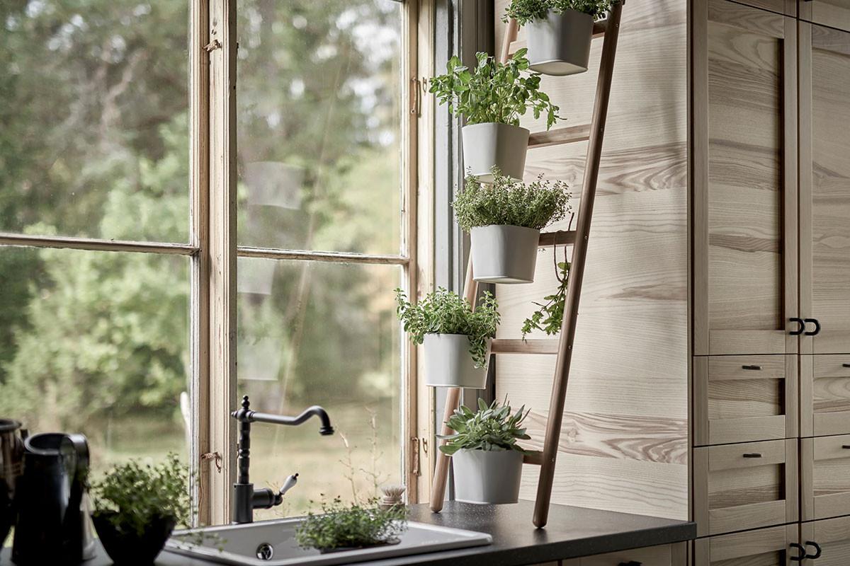 Намерете най-подходящото място за закрита градина с билки