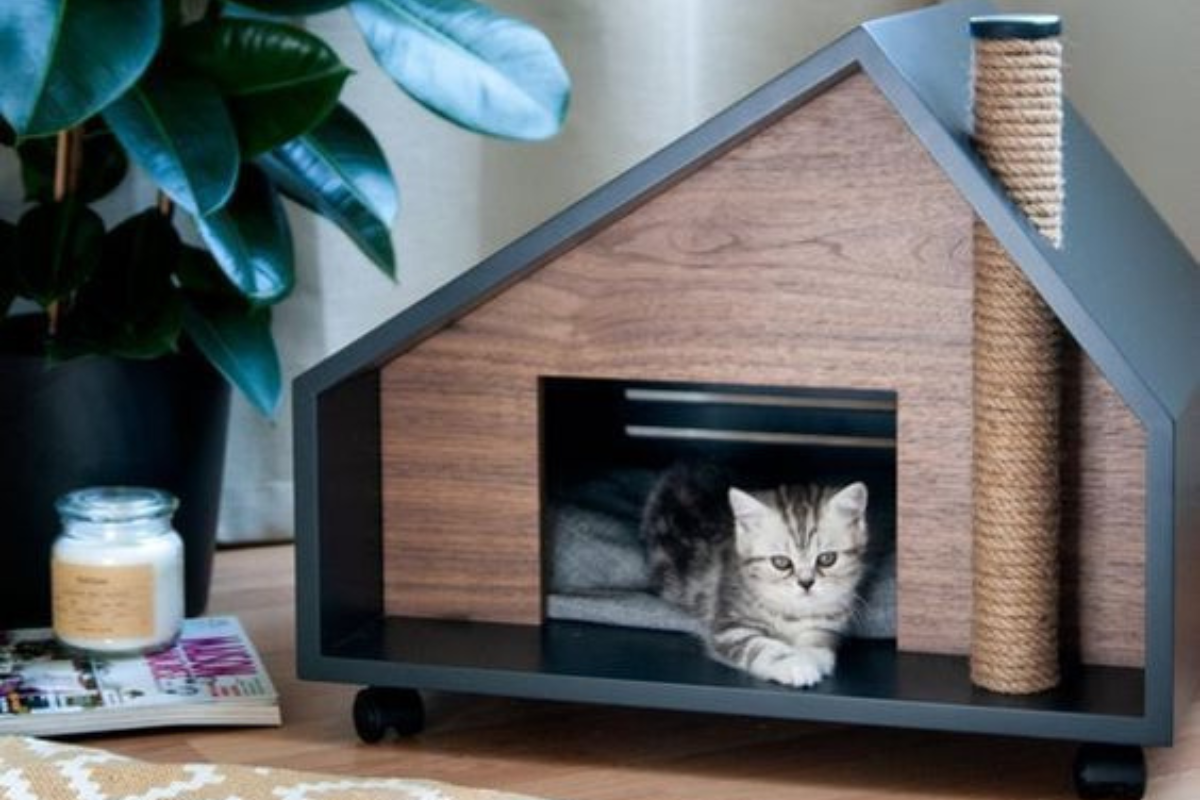 Да помислим за сигурността на домашния любимец