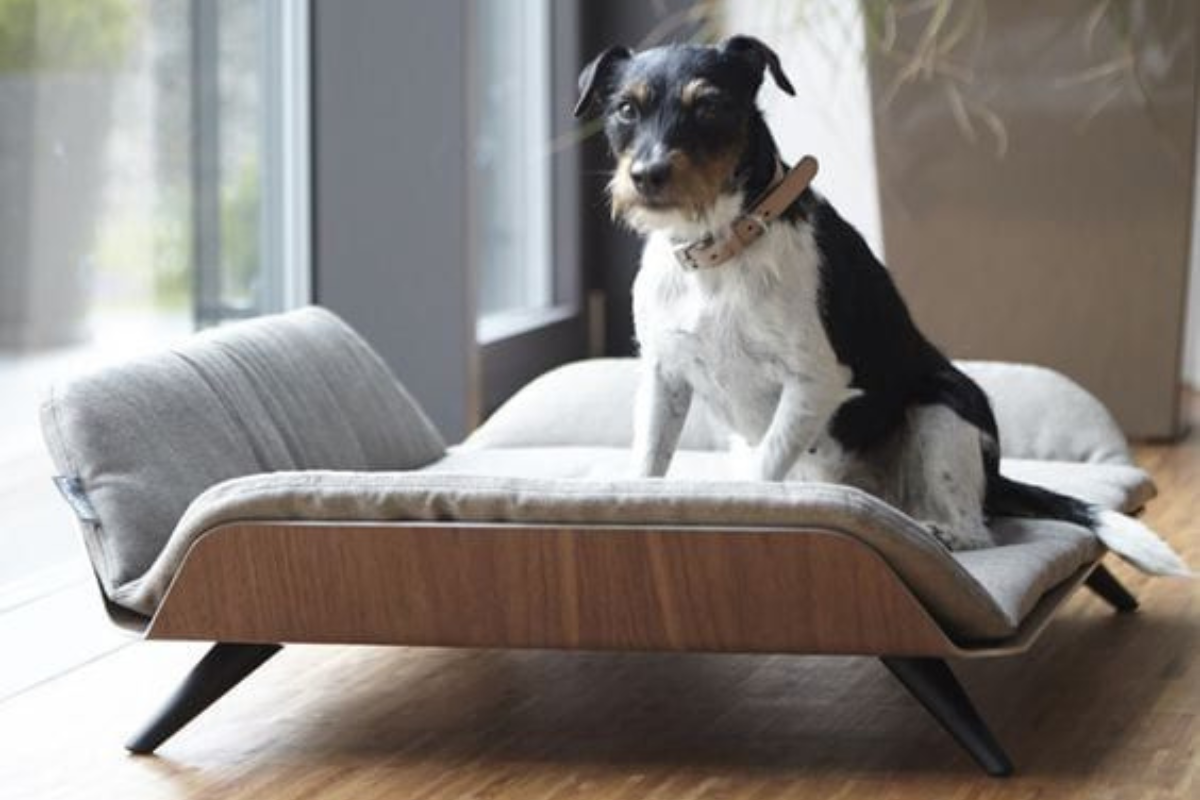 Създаване на уютно място