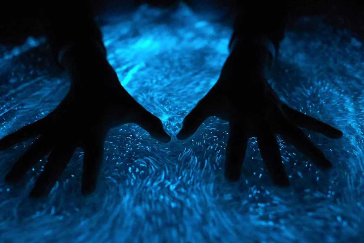 Светогенериращ цимент