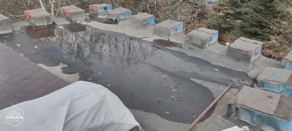 IMG_20241212_130156_HDR