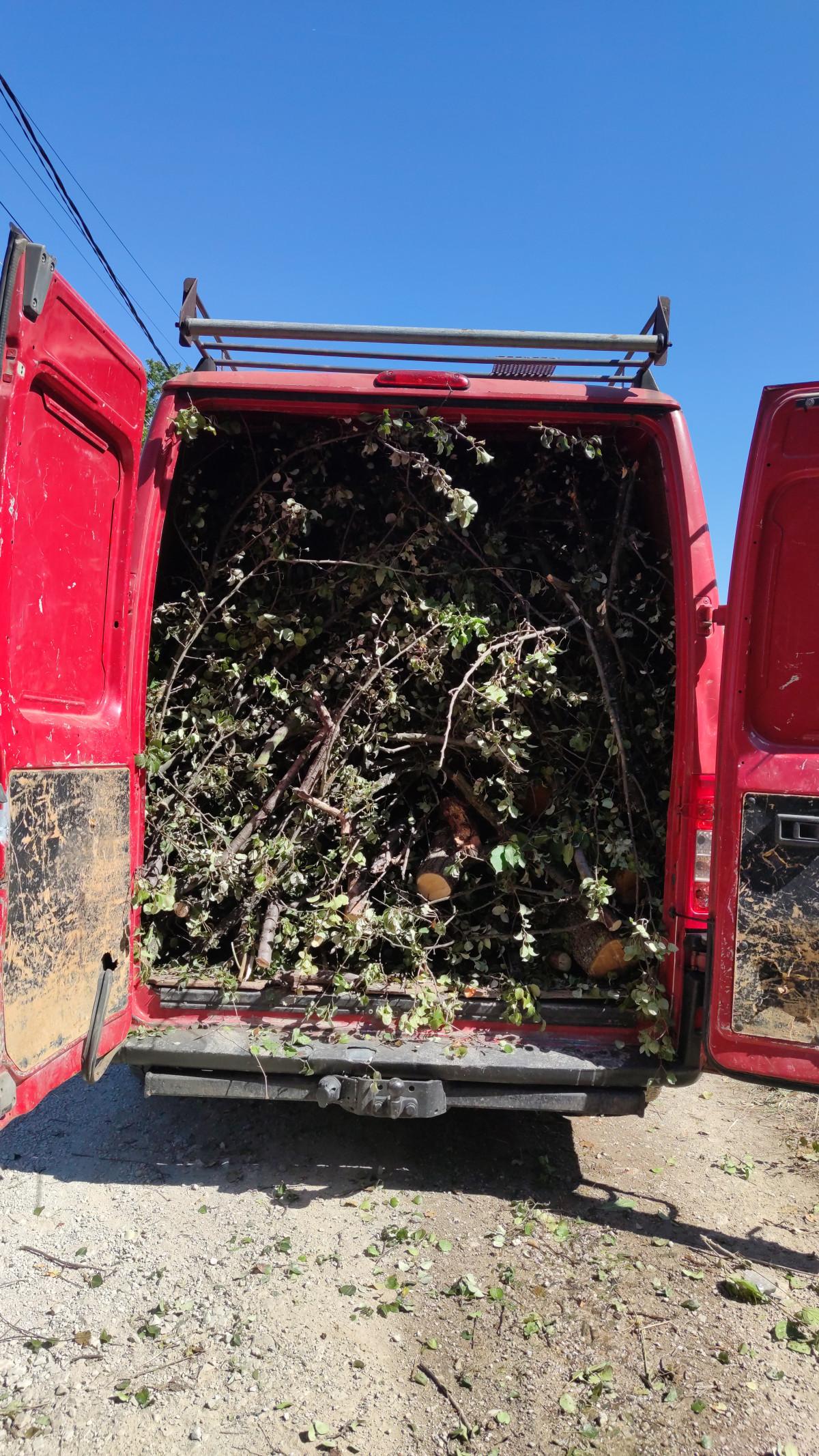 IMG-ee602623dca56947d7c92a6e0de0aba9-V