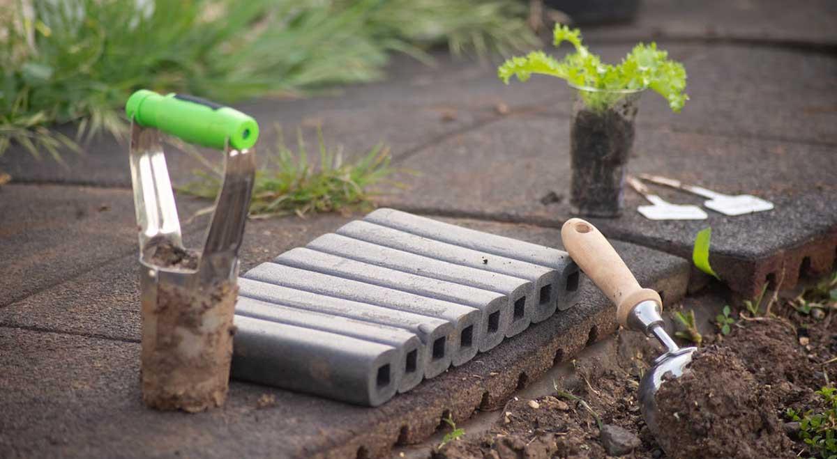 Април в градината: Първи стъпки за перфектна трева и цветна леха