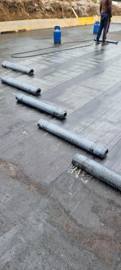 Messenger_creation_310BF0F0-5BF9-4F65-9D10-0735FC9D6E9F