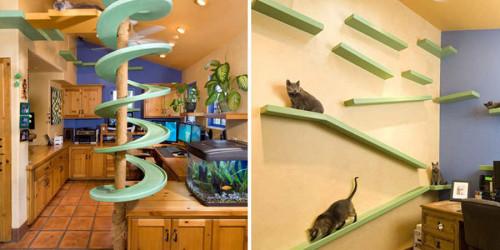 Котката – вашият дом е нейната крепост