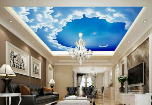 Разкошни тавани за ултра модерни дневни