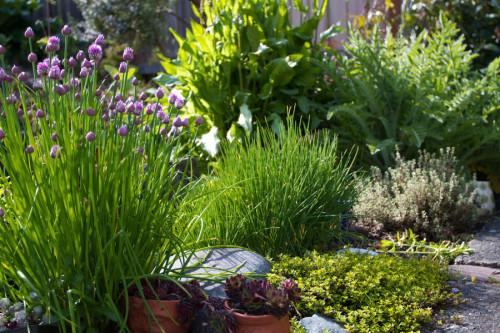 Билкова градина подходяща за малки пространства