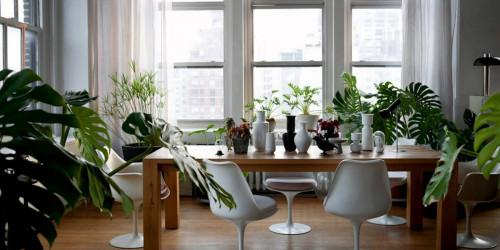 Време е да приберете цветята у дома