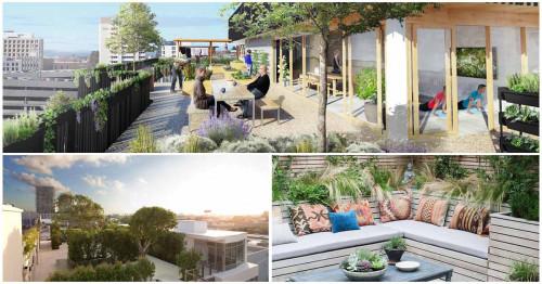 На върха, там, над света - 5 съвета за съвършената градина на покрива