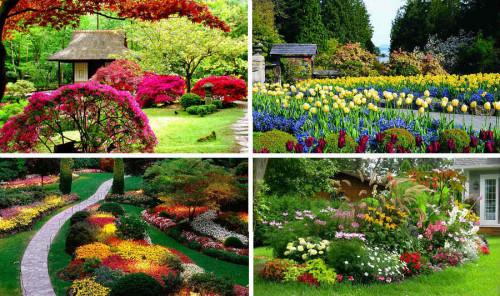 Как да засадите красива градина - съвети за начинаещи