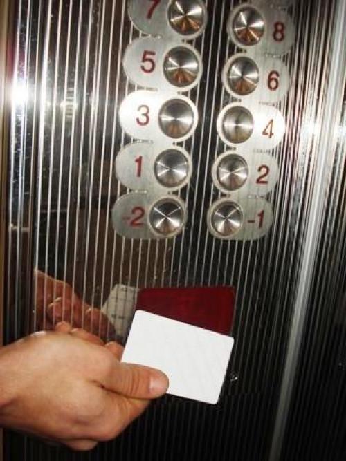 Снимка  от Олга Георгиева