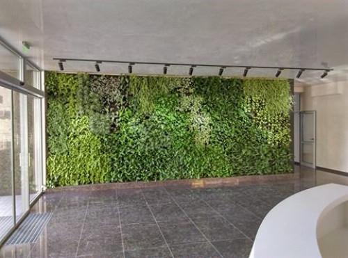 Вертикална градина в София