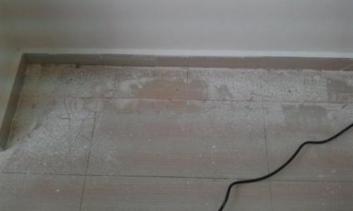 Снимка  от Илиян Шушоров