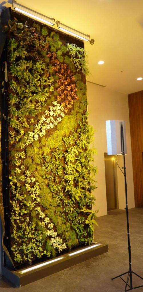 Снимка  от Ивайло Петров