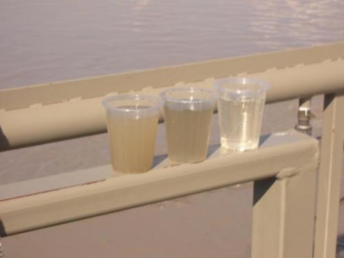 Снимка  от ЕИС ООД Димитров